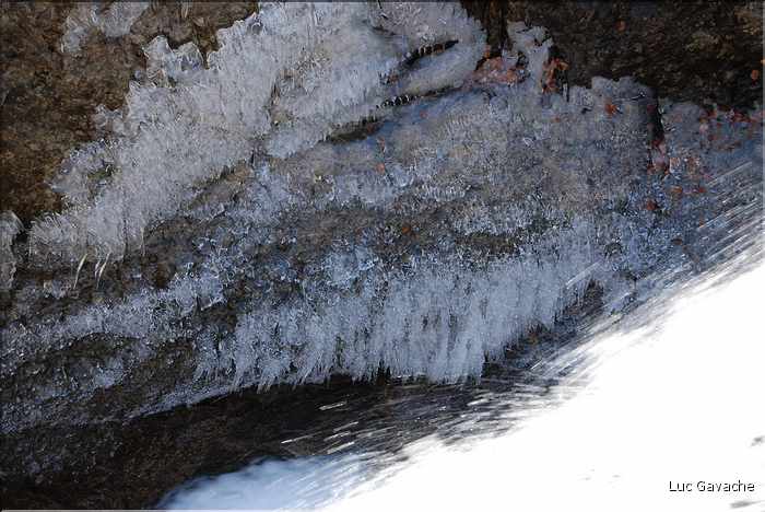 Parfois l'hiver, le gel arrive avant la neige, région de Vizzavona sur le GR20 (7)