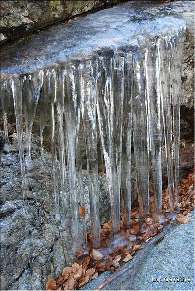Parfois l'hiver, le gel arrive avant la neige, région de Vizzavona sur le GR20 (18)
