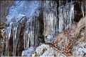 Parfois l'hiver, le gel arrive avant la neige, région de Vizzavona sur le GR20 (21)