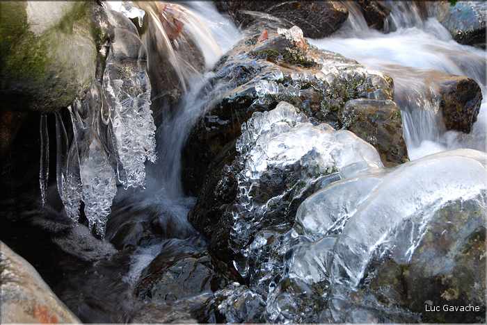 Parfois l'hiver, le gel arrive avant la neige, région de Vizzavona sur le GR20 (24)