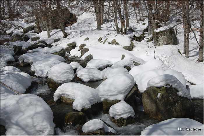 L'Agnone en hiver, le long du GR20 (16)