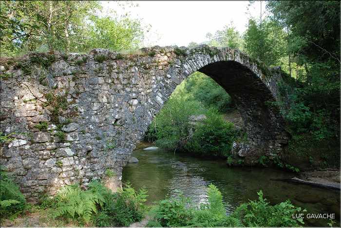 Pont Génois de Zipitoli, sur la toute de Bastelica (2)