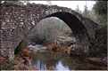 Pont Génois de Zipitoli, sur la toute de Bastelica (3)