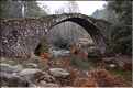 Pont Génois de Zipitoli, sur la toute de Bastelica (4)