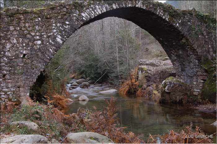 Pont Génois de Zipitoli, sur la toute de Bastelica (5)