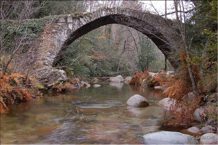 Pont Génois de Zipitoli, sur la toute de Bastelica (7)