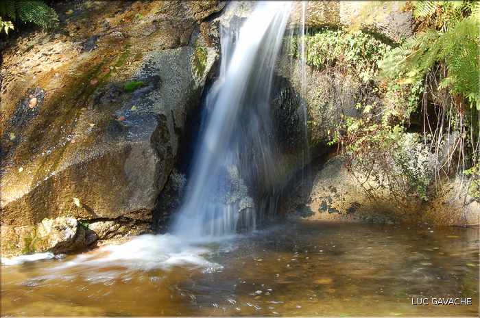 Les environs du moulin de Rezza (5)