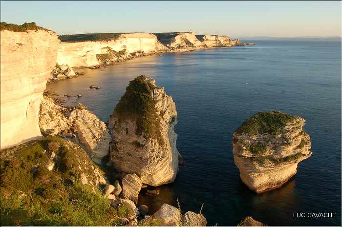 Les célèbres falaises calcaires de Bonifacio (1)