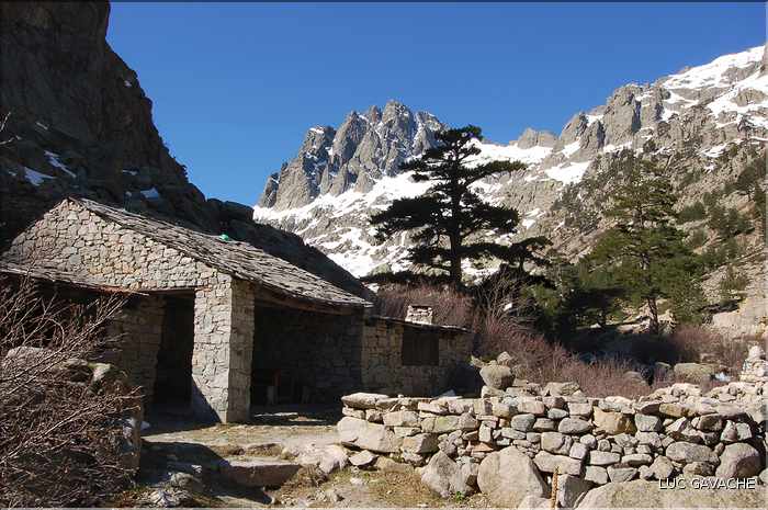 Bergeries de Grotelle et ses environs, vallée de la Restonica (2)