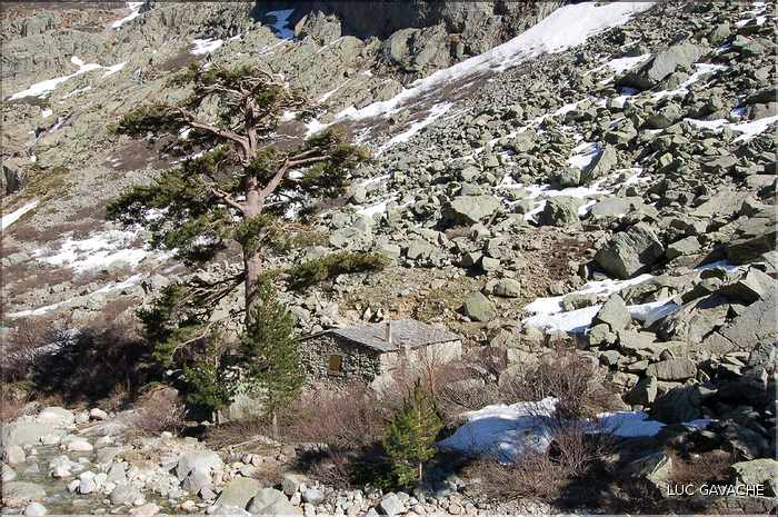 Bergeries de Grotelle et ses environs, vallée de la Restonica (5)