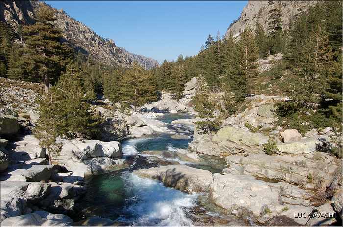 Bergeries de Grotelle et ses environs, vallée de la Restonica (7)