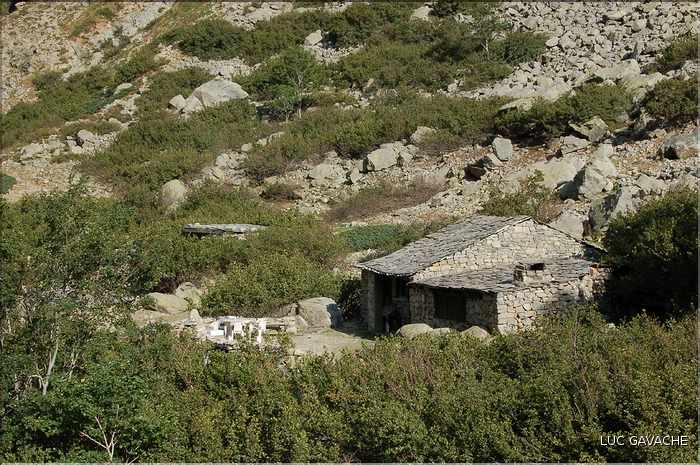 Bergeries de Grotelle et ses environs, vallée de la Restonica (12)