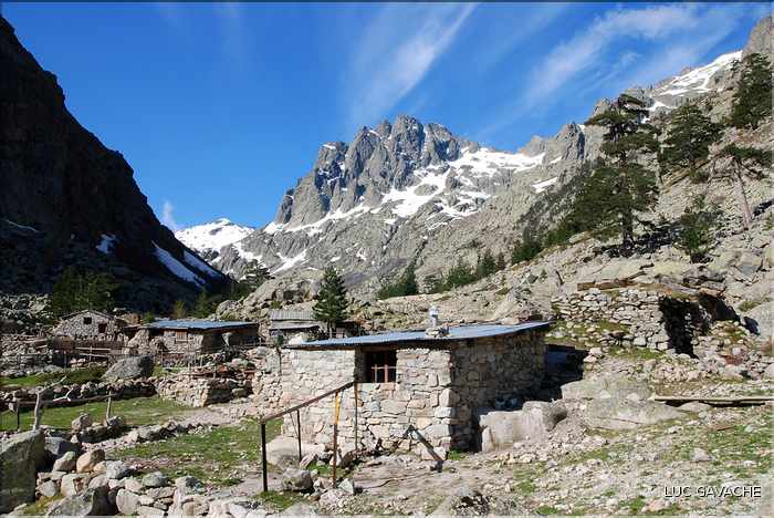 Bergeries de Grotelle et ses environs, vallée de la Restonica (15)