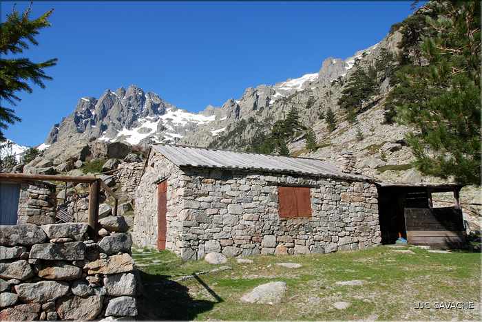 Bergeries de Grotelle et ses environs, vallée de la Restonica (18)