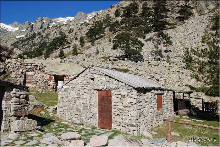 Bergeries de Grotelle et ses environs, vallée de la Restonica (19)