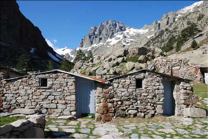 Bergeries de Grotelle et ses environs, vallée de la Restonica (20)