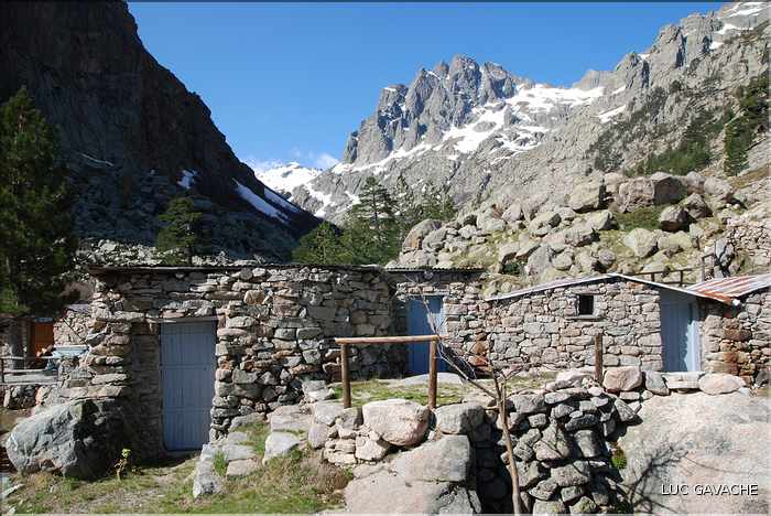 Bergeries de Grotelle et ses environs, vallée de la Restonica (21)