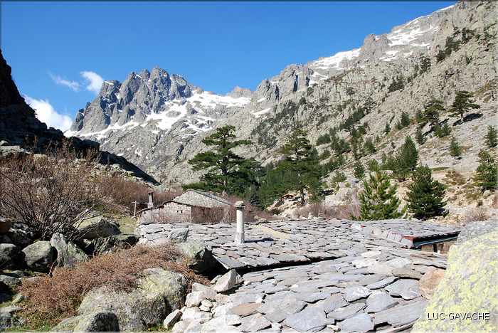 Bergeries de Grotelle et ses environs, vallée de la Restonica (23)