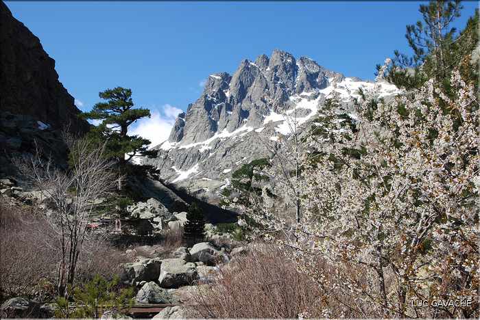 Bergeries de Grotelle et ses environs, vallée de la Restonica (25)