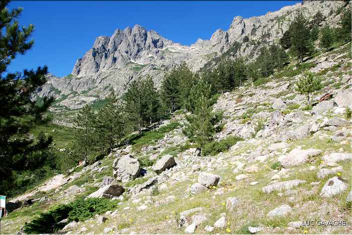Bergeries de Grotelle et ses environs, vallée de la Restonica (39)
