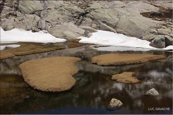 Lac de l'Oriente au printemps après la fonte des neiges, 2061 m.d'altitude (2)