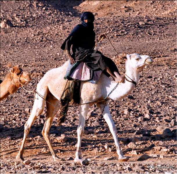 Nomade Touareg dans la région de l'Assekrem (2)