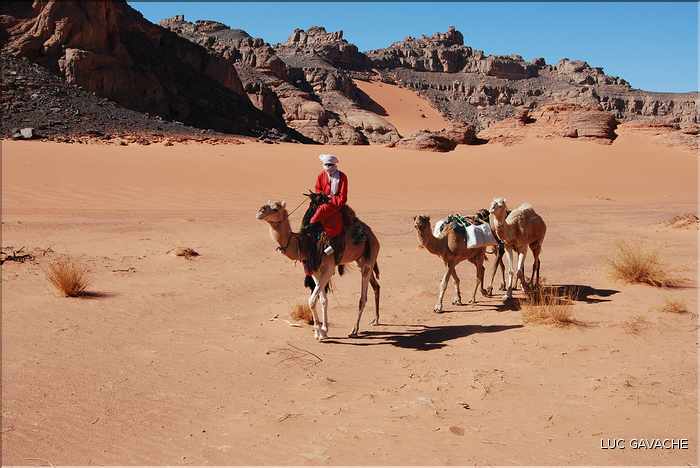 Méharé dans le Tadrart rouge au Sud-Est de Djanet, Oued Tilafaso (20)