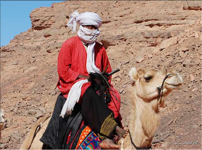 Méharé dans le Tadrart rouge au Sud-Est de Djanet, Oued Tilafaso (21)