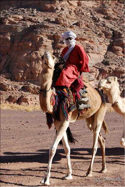Méharé dans le Tadrart rouge au Sud-Est de Djanet, Oued Tilafaso (22)