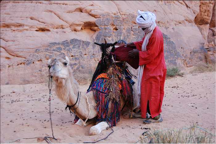 Méharé dans le Tadrart rouge au Sud-Est de Djanet, Oued Tilafaso (29)