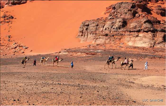 Les environs de l'erg Tin Merzouga (9)