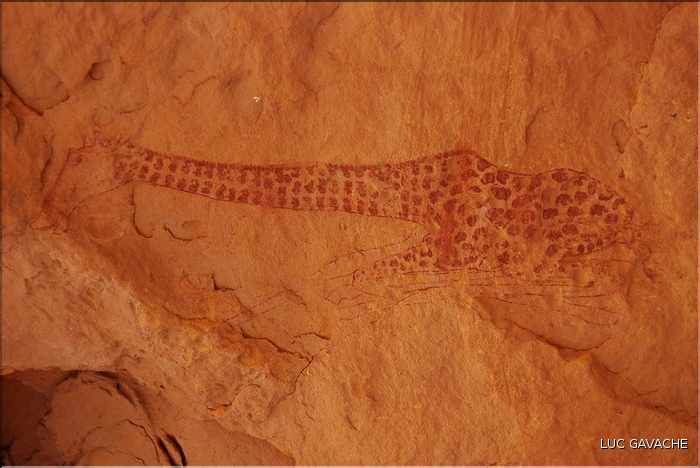 Peinture rupestre de giraffe, Tadrart rouge