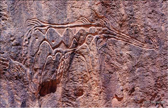 Gravure rupestre du Tassili du Hoggar