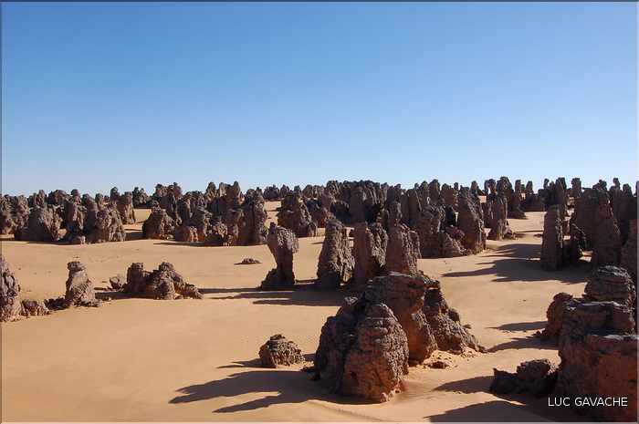 L'étrange forêt de pierres de Maghidet, se trouve au Nord de Ghat (1)
