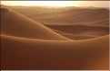 Bordure Nord de l'immence Erg Murzuk, au Sud-Ouest de Sebha (3)