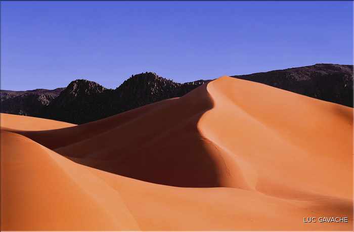 Coincées entre l'Aîr et le Ténéré, les dunes d'Arakao ''ou pince du crabe'' font parties des plus belles du Niger (4)