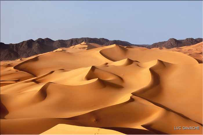 Coincées entre l'Aîr et le Ténéré, les dunes d'Arakao ''ou pince du crabe'' font parties des plus belles du Niger (8)