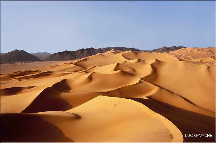 Coincées entre l'Aîr et le Ténéré, les dunes d'Arakao ''ou pince du crabe'' font parties des plus belles du Niger (10)