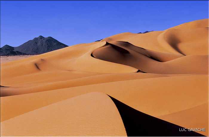 Coincées entre l'Aîr et le Ténéré, les dunes d'Arakao ''ou pince du crabe'' font parties des plus belles du Niger (19)