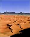 Coincées entre l'Aîr et le Ténéré, les dunes d'Arakao ''ou pince du crabe'' font parties des plus belles du Niger (49)