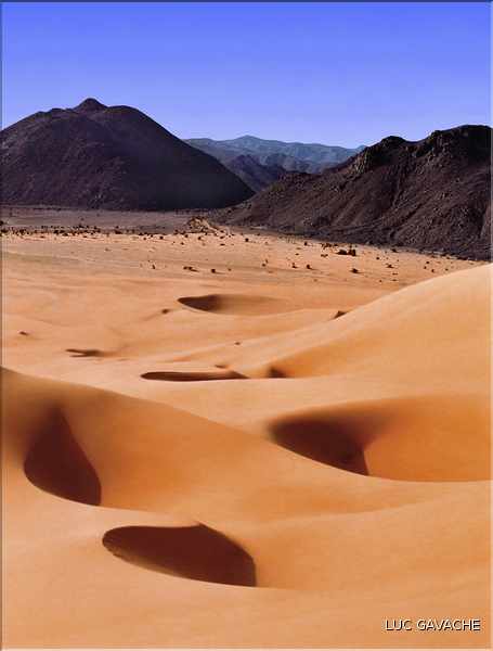 Coincées entre l'Aîr et le Ténéré, les dunes d'Arakao ''ou pince du crabe'' font parties des plus belles du Niger (54)
