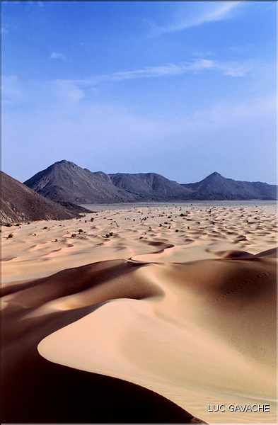Coincées entre l'Aîr et le Ténéré, les dunes d'Arakao ''ou pince du crabe'' font parties des plus belles du Niger (55)