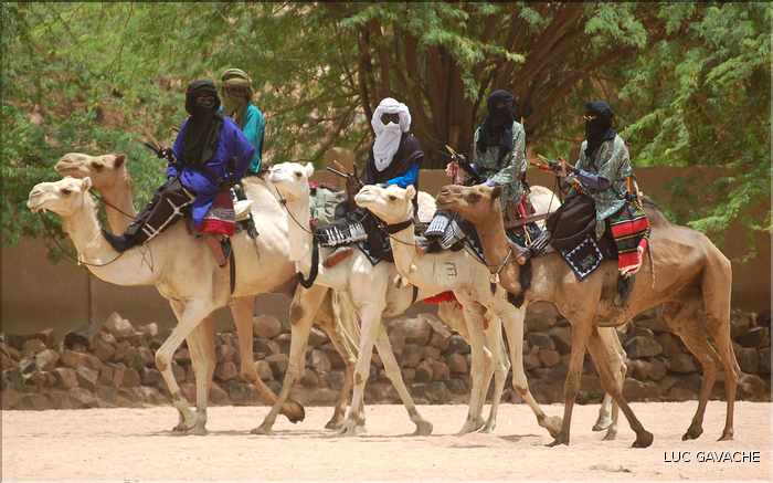 Le dromadére, que les Touaregs appel chameau, reste un moyen de transport encore très utilisé (13)