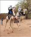Le dromadére, que les Touaregs appel chameau, reste un moyen de transport encore très utilisé (19)