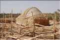 Habitat traditionnel des Touaregs de l'Ar (2)
