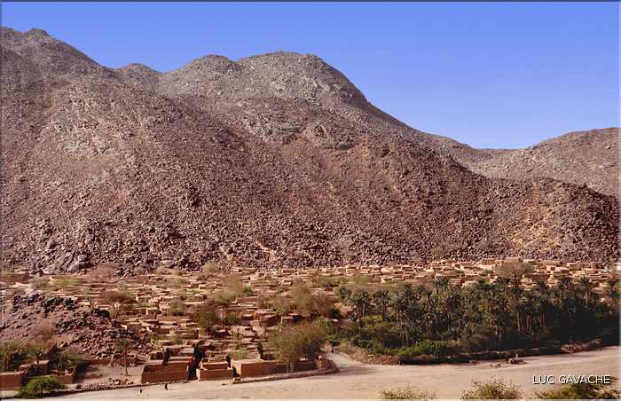 L'oasis de Timia, en plein coeur de l'Ar, regorge de jardins luxuriants (1)