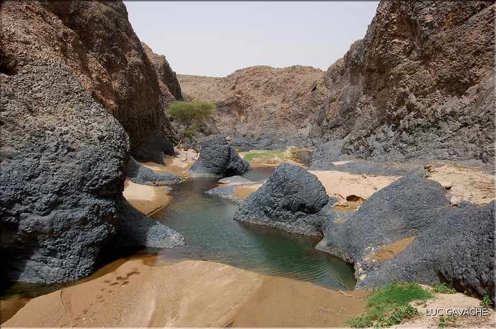 L'oasis de Timia, en plein coeur de l'Ar, regorge de jardins luxuriants (4)