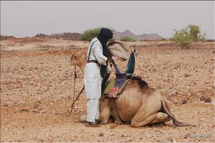 La famille d'Aghali vie dans la plus pure tradition des nomades Touareg, ce jour là ils partaient chercher une nouvelle zone de paturage (2)