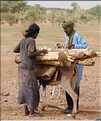 La famille d'Aghali vie dans la plus pure tradition des nomades Touareg, ce jour là ils partaient chercher une nouvelle zone de paturage (6)