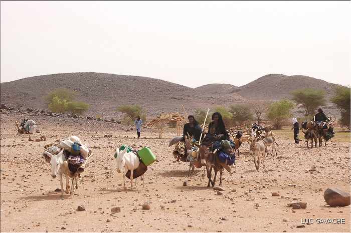 La famille d'Aghali vie dans la plus pure tradition des nomades Touareg, ce jour là ils partaient chercher une nouvelle zone de paturage (10)